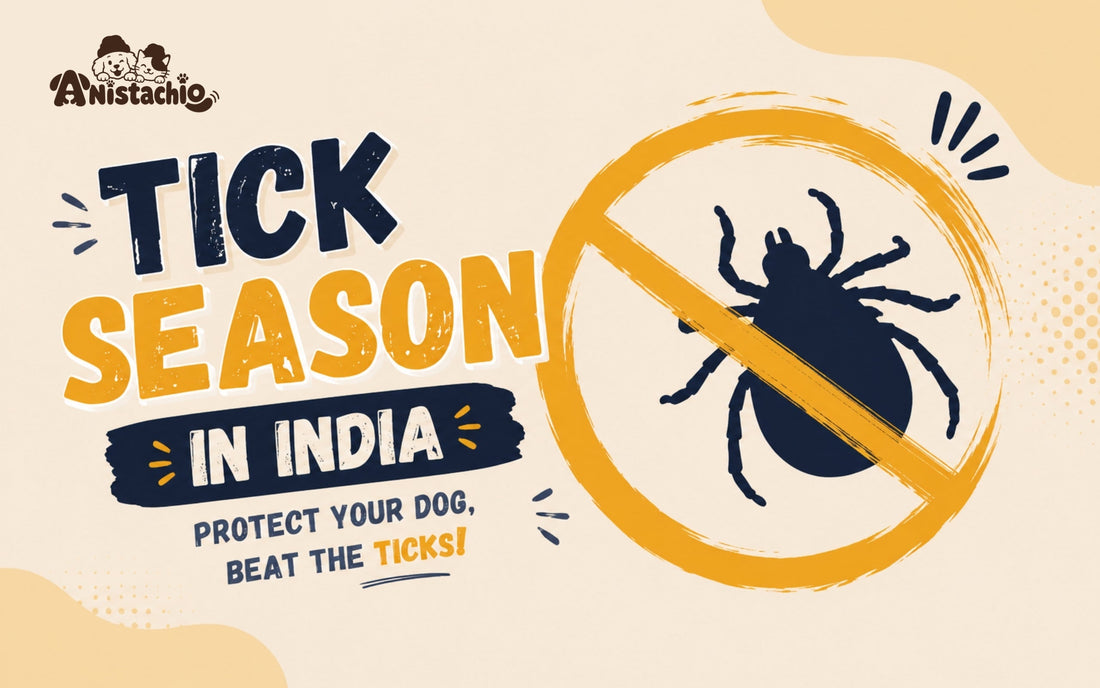 Tick Season in India: When to Start Using Anti-Tick Shampoo for Your Dog