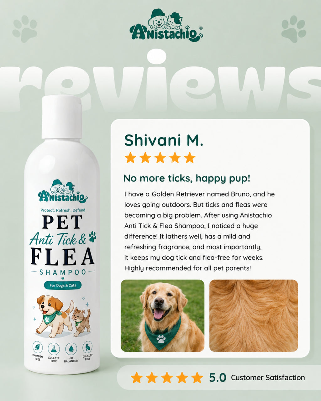 anistachio anti tick flea shampoo gmp iso certified cosmico india