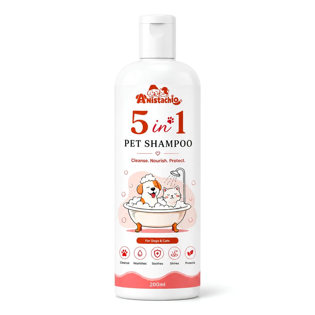 Anistachio Five in One Shampoo