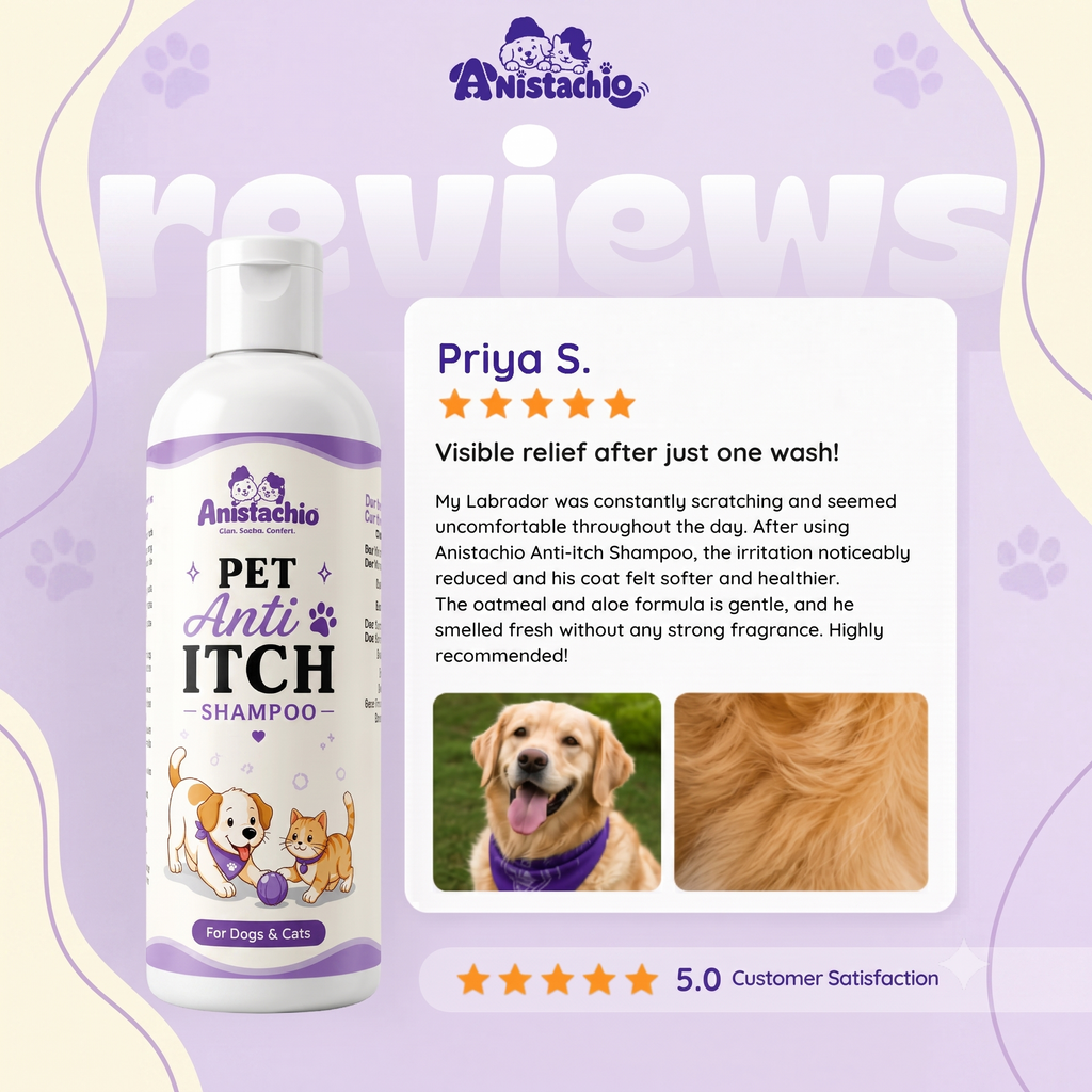Anistachio Pet Anti-Itch Shampoo