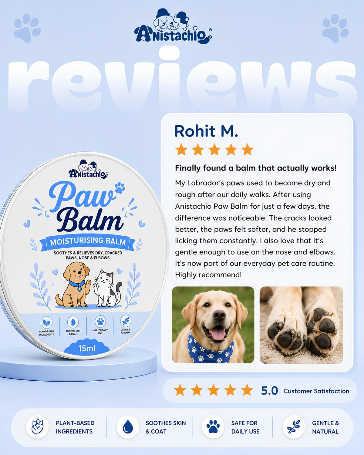 Anistachio Paw Balm | Pack of 3 | 15g Each